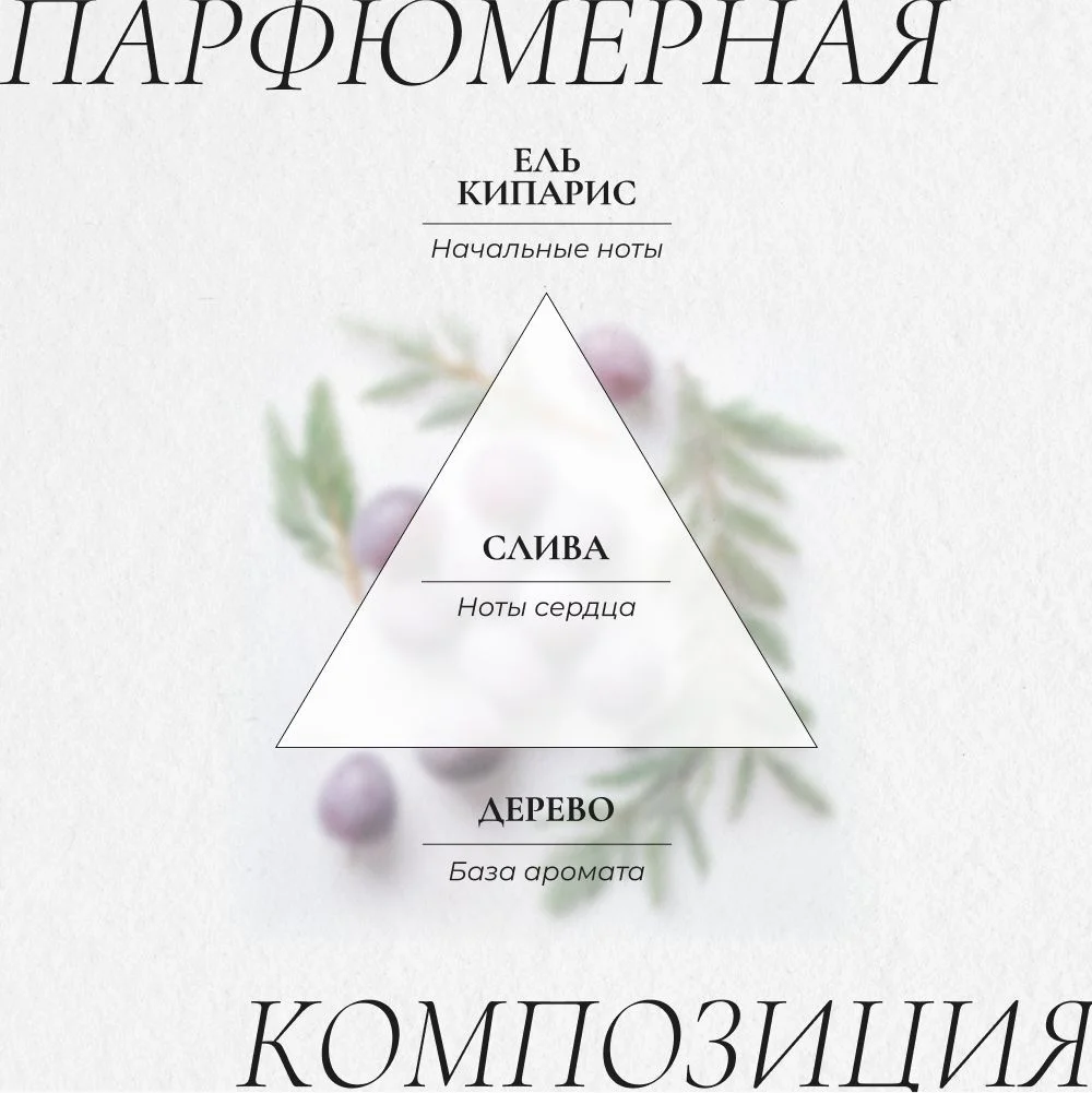 Cosmetime / Гель для душа женский парфюмированный Черная Амбра и Слива, 1000 мл