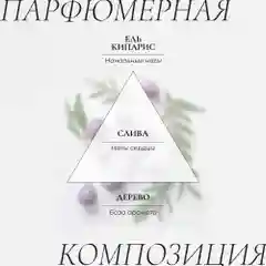 Cosmetime / Гель для душа женский парфюмированный Черная Амбра и Слива, 1000 мл