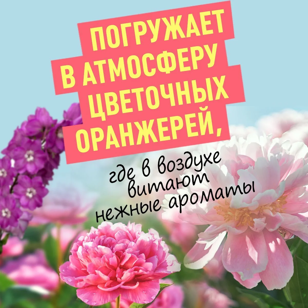 ANUKA Гель для душа женский парфюмированный, летний букет, 460 мл