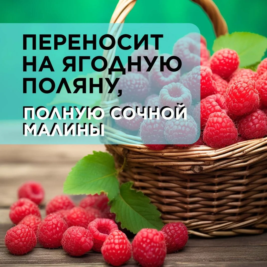 ANUKA Гель для душа женский парфюмированный дикие ягоды, 460 мл