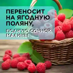 ANUKA Гель для душа женский парфюмированный дикие ягоды, 460 мл