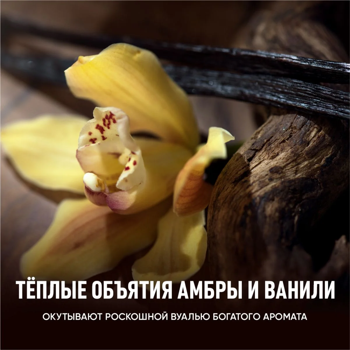 Масло для массажа тела Meditaura увлажняющее антицеллюлитное Skin Meditation, 100 мл