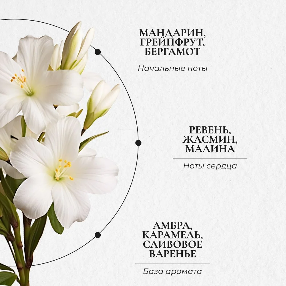 Cosmetime / Гель для душа женский парфюмированный Австралийская Слива и Амбра, 1000 мл
