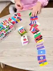 Игры на диване. Все флаги мира. Дрофа-Медиа