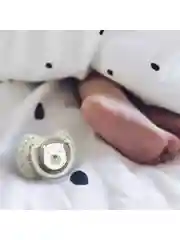 LOVI Buddy Bear Пустышка силиконовая динамическая 6-18 мес 2шт