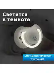 LOVI Buddy Bear Пустышка силиконовая динамическая 6-18 мес 2шт