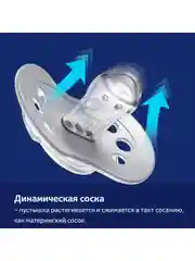 Бежевый lovi Harmony Пустышка силиконовая динамическая 3-6 месяцев, 2 штуки