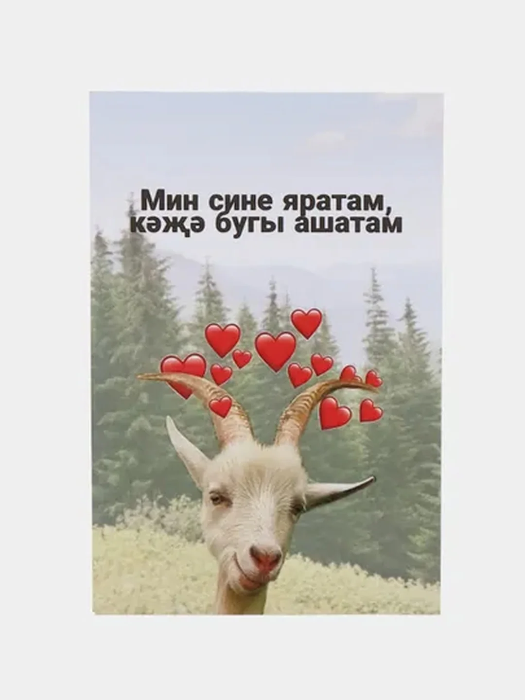 Открытка Татарские приколы, 10 х 15 см купить по цене 103.5 ₽ в  интернет-магазине Магнит Маркет