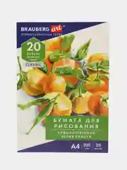 Бумага А4 в папке, набор 20 листов для творчества и школы, 200 г м2, Brauberg Натюрморт