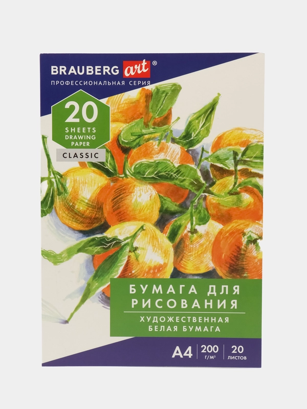 Бумага А4 в папке, набор 20 листов для творчества и школы, 200 г м2, Brauberg Натюрморт