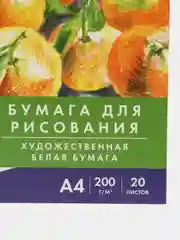 Бумага А4 в папке, набор 20 листов для творчества и школы, 200 г м2, Brauberg Натюрморт