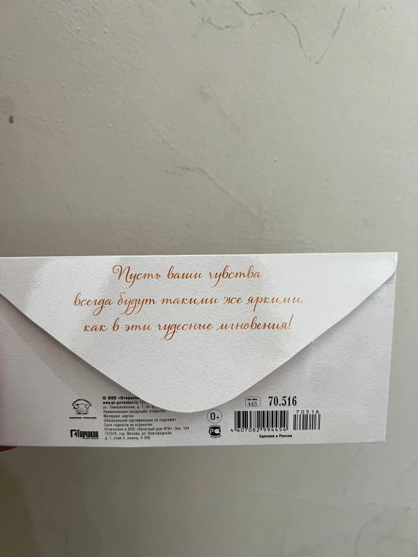 Конверт-открытка для денег, подарочный, на свадьбу молодоженам "С Днем Свадьбы"