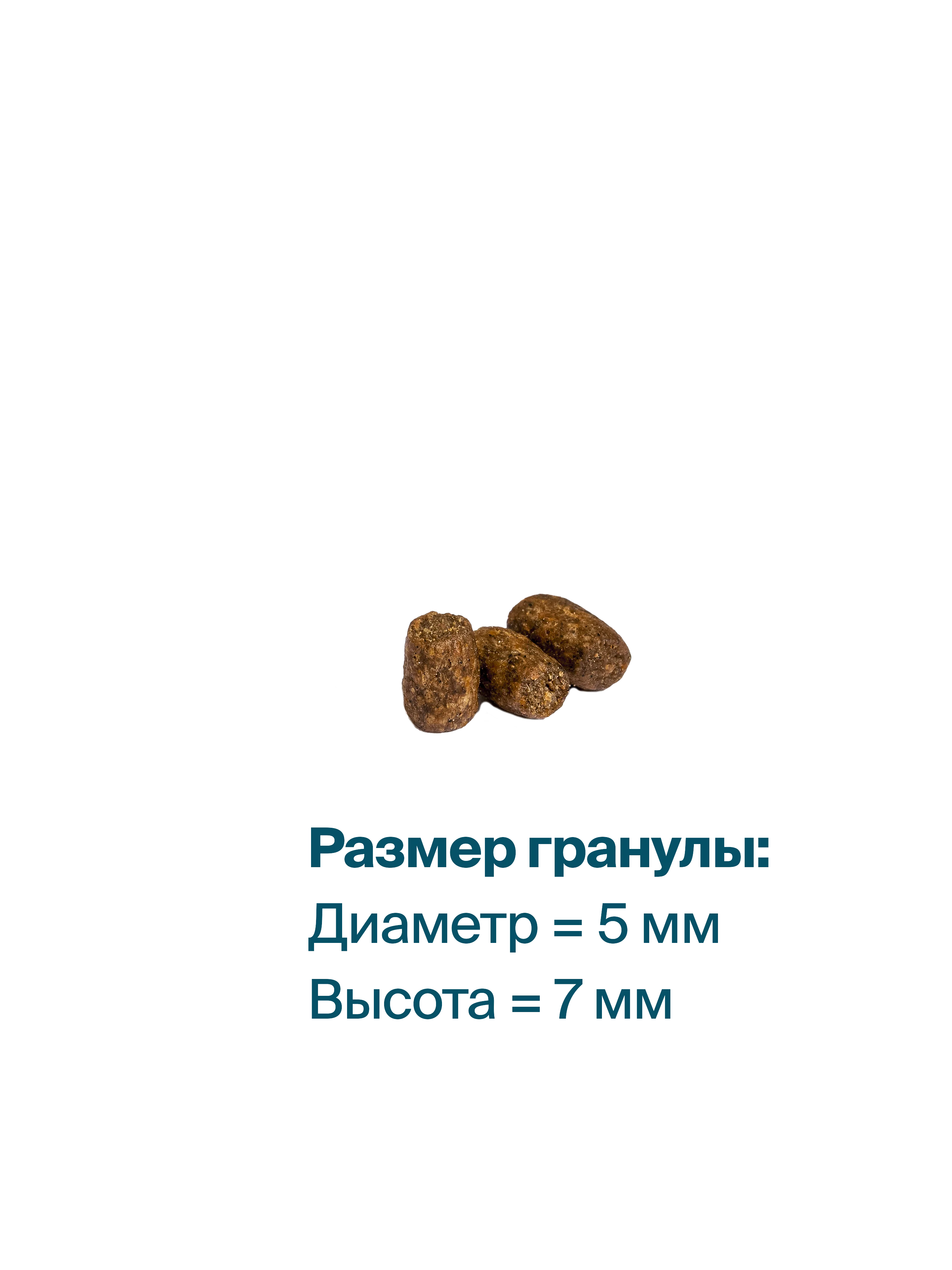 Корм сухой "Profifeed" для котят, 10 кг