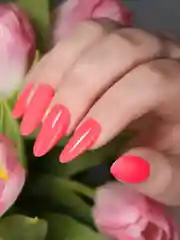 Пастельно-коралловый гель-лак Foxy Expert BASIC, 8 мл