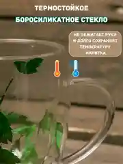 Лесной зеленый кружка с двойным дном и стеклом с сухоцветами внутри 350 мл