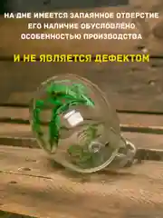 Лесной зеленый кружка с двойным дном и стеклом с сухоцветами внутри 350 мл