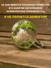 Голубой кружка с двойным дном и стеклом с сухоцветами внутри 350 мл