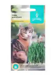 Семена Трава для кошек, 10 г