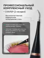 Черный электрическая зубная щетка и скалер, 2 в 1