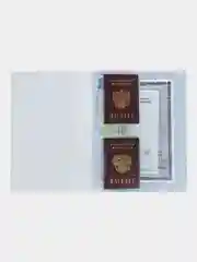 Папка А4 Staff, для документов семейная, обложка, органайзер, ПВХ, матовая