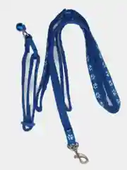 Ошейник с поводком из полиэстера для кошек и собак мелких пород
