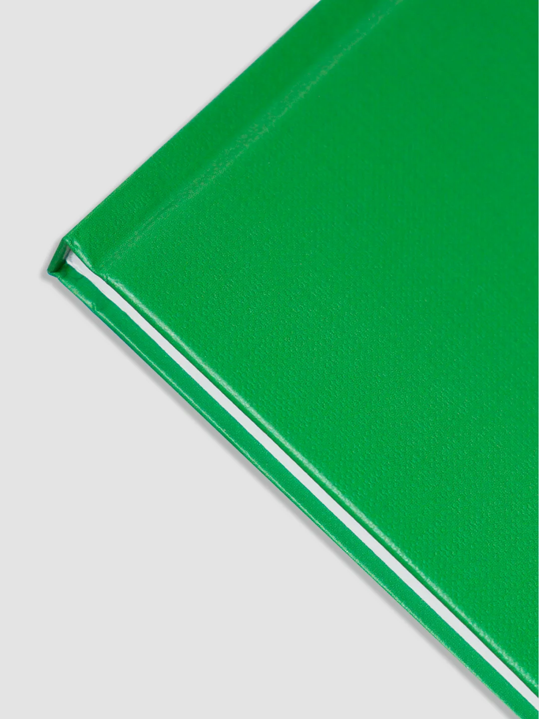 Зеленый блокнот в линию 64 листа А5 с резинкой-фиксатором MyArt Notebook Classic. Проф-Пресс
