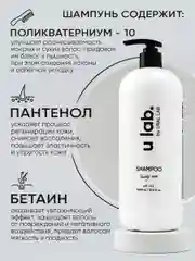 Подарочный набор ULAB: профессиональный шампунь и бальзам для волос, гель для душа, 3 литра