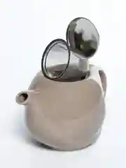 Чайник 750