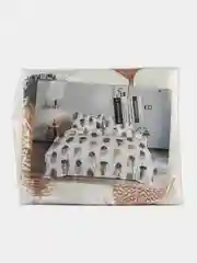 Постельное белье 1,5 сп / 2 спальное / евро Полисатин ivSubelIa "Перья на белом", 70x70