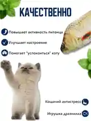 Бронзовый игрушка для кошки с валерианой и кошачьей мятой в форме рыбы