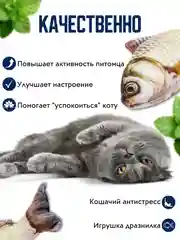 Оранжевый игрушка для кошки с валерианой и кошачьей мятой в форме рыбы