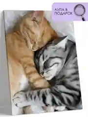 Картина по номерам на холсте с подрамником 40*50 "Кошачья нежность"