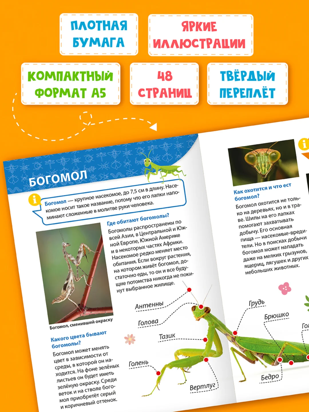 Бежевый книги детские обо всём "Энциклопедия для маленьких почемучек" А5, 48 стр. Проф-Пресс