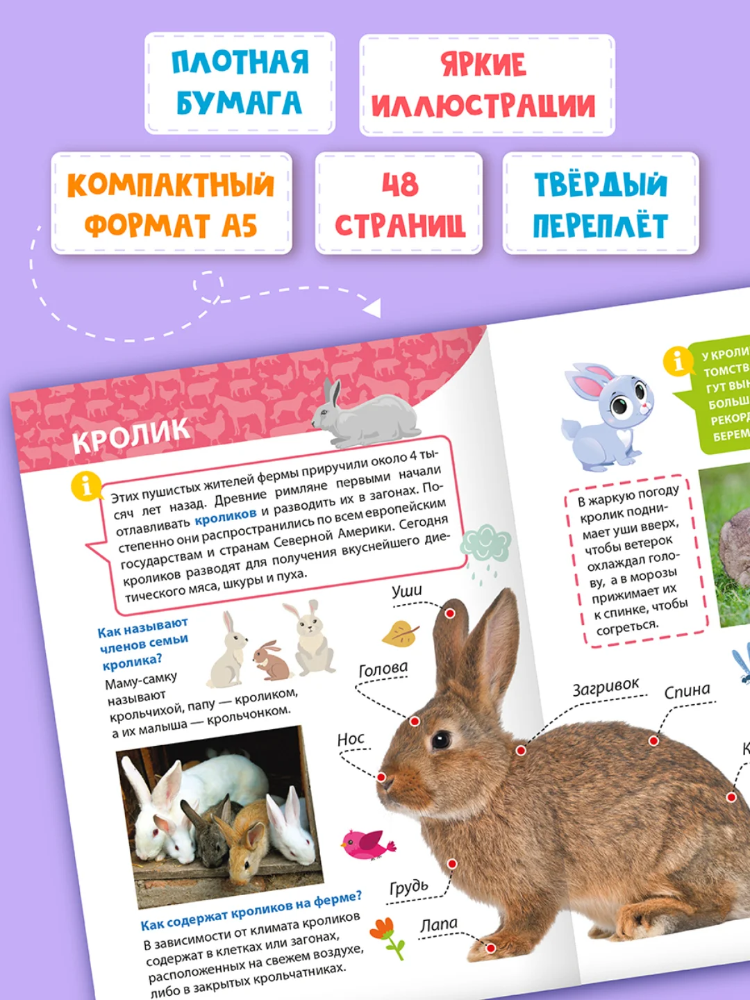 Бежевый меланж книги детские обо всём "Энциклопедия для маленьких почемучек" А5, 48 стр. Проф-Пресс