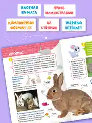 Бежевый меланж книги детские обо всём "Энциклопедия для маленьких почемучек" А5, 48 стр. Проф-Пресс