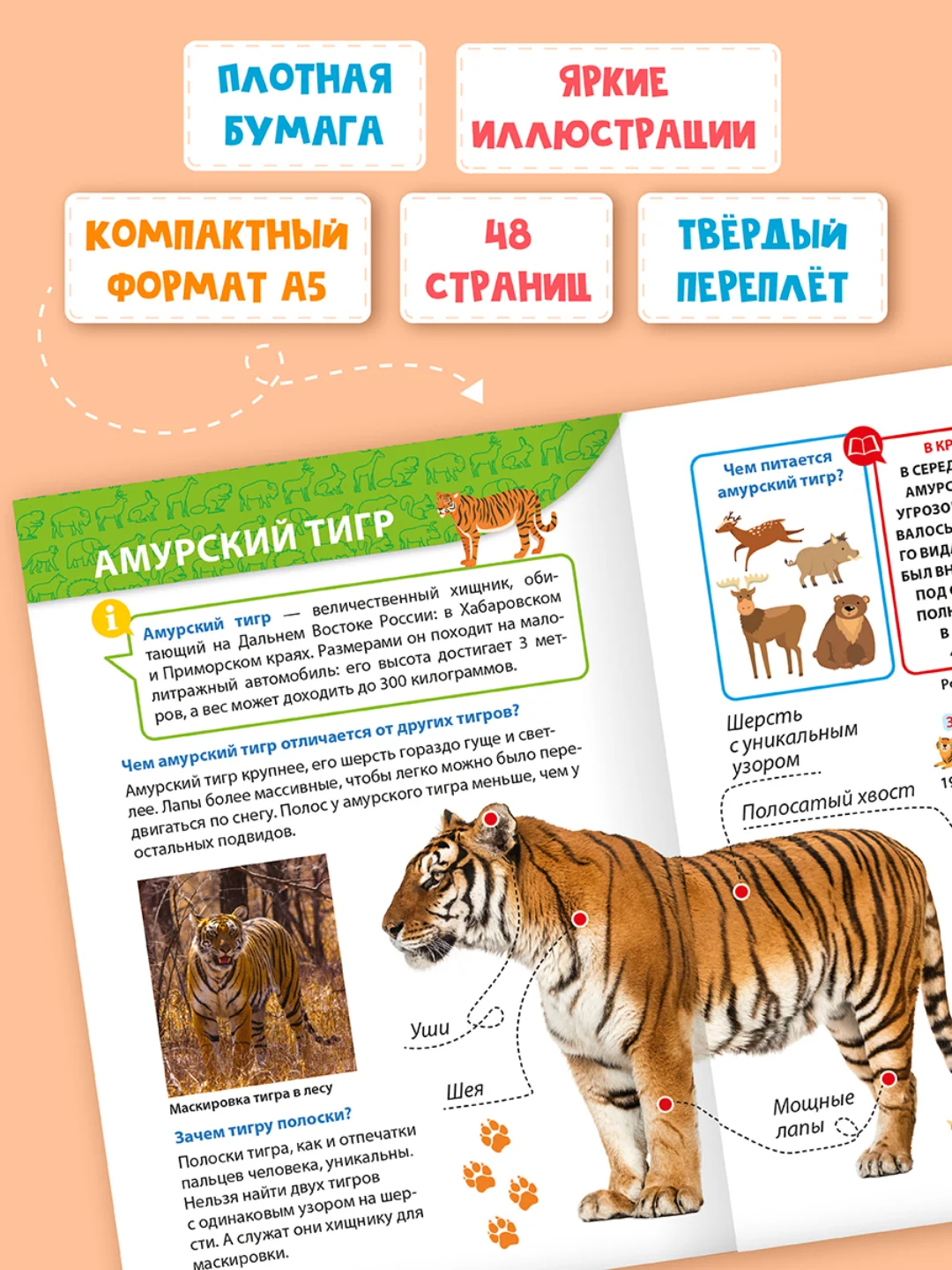 Белый книги детские обо всём "Энциклопедия для маленьких почемучек" А5, 48 стр. Проф-Пресс