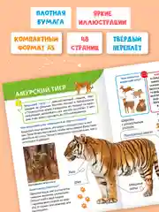Белый книги детские обо всём "Энциклопедия для маленьких почемучек" А5, 48 стр. Проф-Пресс