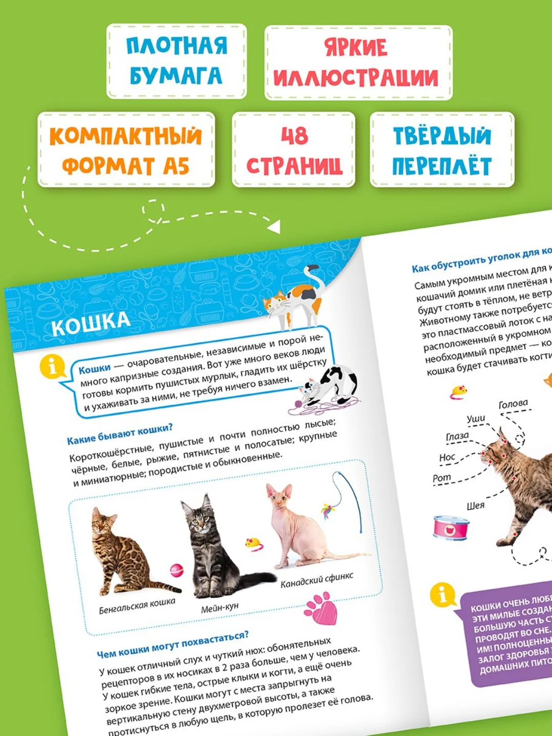 Бирюзовый книги детские обо всём "Энциклопедия для маленьких почемучек" А5, 48 стр. Проф-Пресс