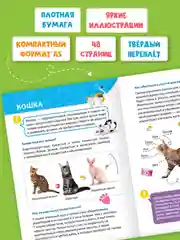 Бирюзовый книги детские обо всём "Энциклопедия для маленьких почемучек" А5, 48 стр. Проф-Пресс