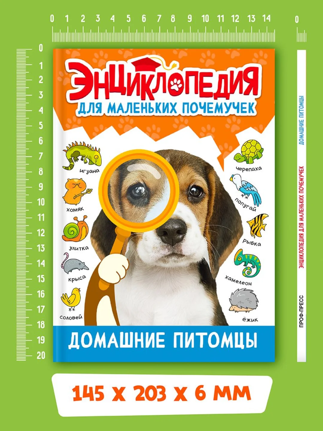 Бирюзовый книги детские обо всём "Энциклопедия для маленьких почемучек" А5, 48 стр. Проф-Пресс