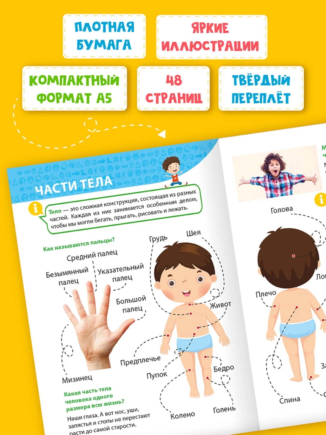 Бордовый книги детские обо всём "Энциклопедия для маленьких почемучек" А5, 48 стр. Проф-Пресс