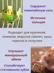 Минеральные камни для грызунов 4 шт