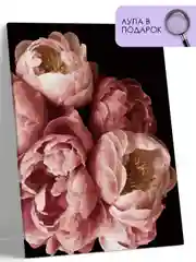 Картина по номерам на холсте с подрамником 40*50 "Пионы"