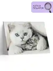 Картина по номерам "Котята", на холсте, с подрамником, 40*50