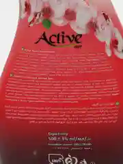 ACTIVE Пенка-мыло для рук "Сияющий бриллиант", дозатор, 500 мл