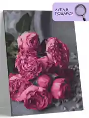 Картина по номерам на холсте с подрамником "Розовый букет пионов", 40*50