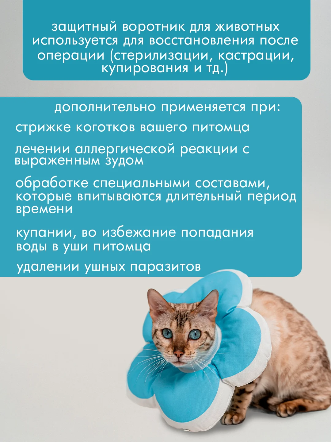 Голубой защитный воротник для кошек и собак, ветеринарный, мягкий