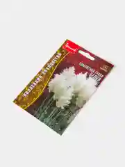 Семена Пампасная Трава Белая