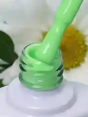 Набор гель-лаков TNL Bloom, 8 шт