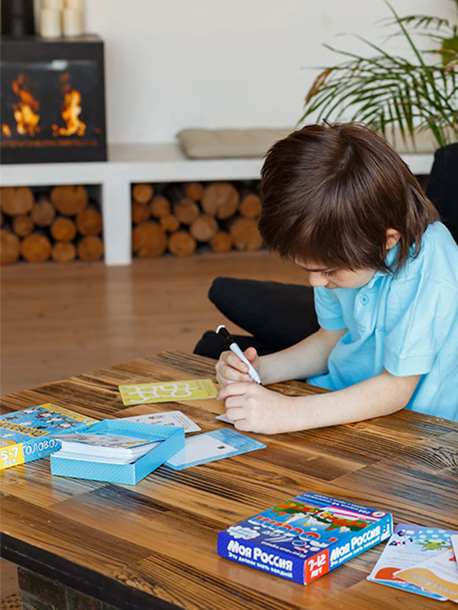 Настольная игра IQ Box "Головоломки", 5-7 лет, Дрофа-Медиа